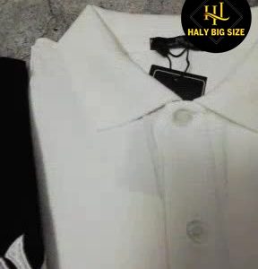 h043-ao-thun-nam-big-size-hinh-chu-NY-theu-3