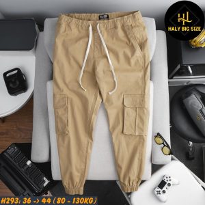 quần jogger nam big size H293