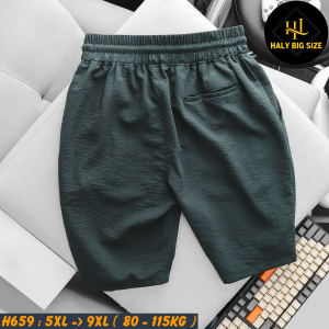 H659-Quan-short-thun-vai-dui-nam-bigsize-2