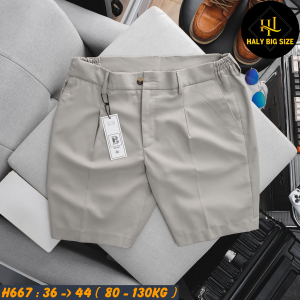 H667-Quan-Short-Tay-lung-thun-HQ-bigsize-nam-12