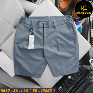 H667-Quan-Short-Tay-lung-thun-HQ-bigsize-nam-13