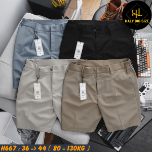 H667-Quan-Short-Tay-lung-thun-HQ-bigsize-nam-14