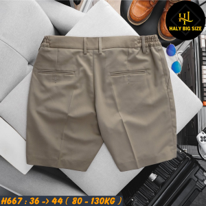 H667-Quan-Short-Tay-lung-thun-HQ-bigsize-nam-17