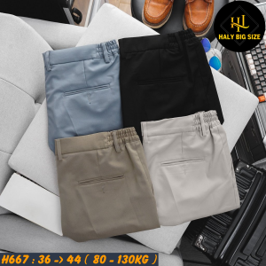 H667-Quan-Short-Tay-lung-thun-HQ-bigsize-nam-18