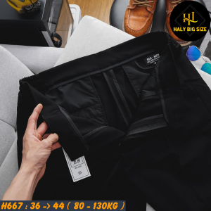 H667-Quan-Short-Tay-lung-thun-HQ-bigsize-nam-21