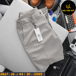 H667-Quan-Short-Tay-lung-thun-HQ-bigsize-nam-22