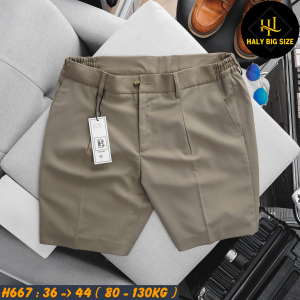 H667-Quan-Short-Tay-lung-thun-HQ-bigsize-nam-23