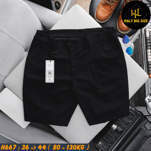 H667-Quan-Short-Tay-lung-thun-HQ-bigsize-nam-24