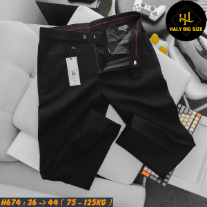 H674-Quan-tay-dai-form-slimfit-bigsize-nam-3