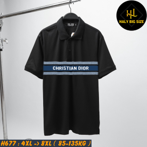 H677-Ao-polo-Dior-nam-big-size-2