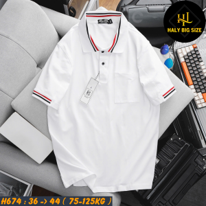 H691-Ao-thun-polo-ca-sau-phoi-bo-co-big-size-nam-2-1