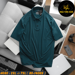 H080-Ao-thun-polo-chat-thun-lanh-tron-big-size-nam