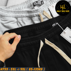 H755-Quan-jogger-vai-ni-big-size-nam