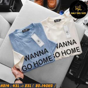 H814-Ao-thun-vai-gan-len-phoi-mau-in-Go-Home-big-size-nam