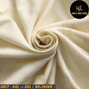 H817-Ao-thun-cotton-mau-kem-loang-mau-big-size-nam