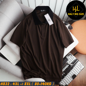 H832-Ao-thun-polo-vai-loang-mau-big-size-nam