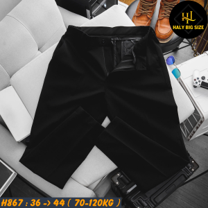 H867-Quan-tay-dai-phoi-lung-thun-big-size-nam