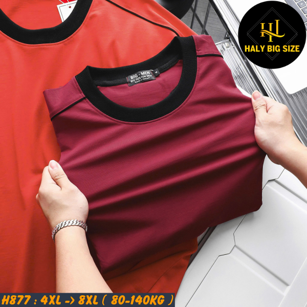 H877-Ao-thun-cotton-phoi-soc-vien-big-size-nam