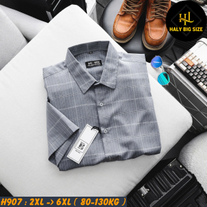 H907-Ao-SMTN-Lua-QC-big-size-nam