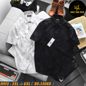 H912-Ao-SMTN-Kate-CC-loang-big-size-nam