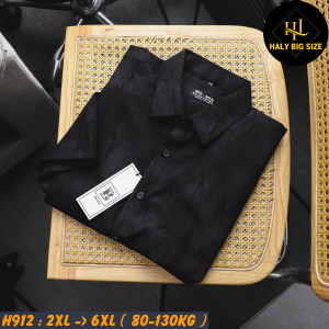 H912-Ao-SMTN-Kate-CC-loang-big-size-nam