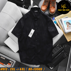 H912-Ao-SMTN-Kate-CC-loang-big-size-nam