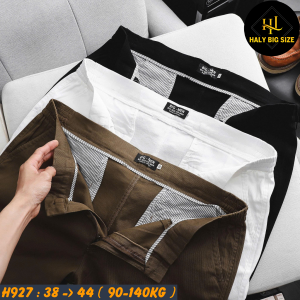 H927-Quan-short-kaki-lung-thun-2-ben-big-size-nam