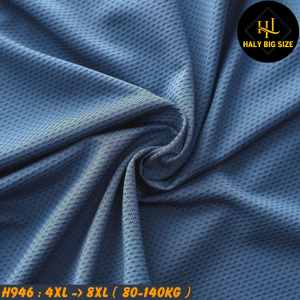H946-Ao-thun-lanh-TT-co-lo-thoang-in-Sport-big-size-nam