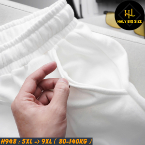 H948-Quan-short-ni-in-hinh-ca-tinh-big-size-nam