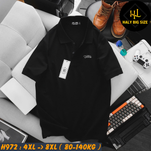 H972-Ao-thun-polo-in-chu-2-mat-bigsize-nam