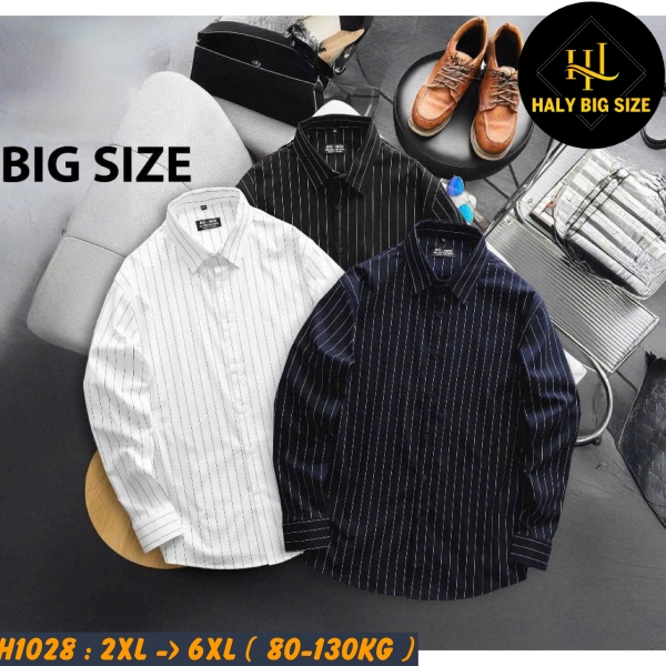 H1028-Ao-SMTD-cotton-gan-soc-doc-big-size-nam