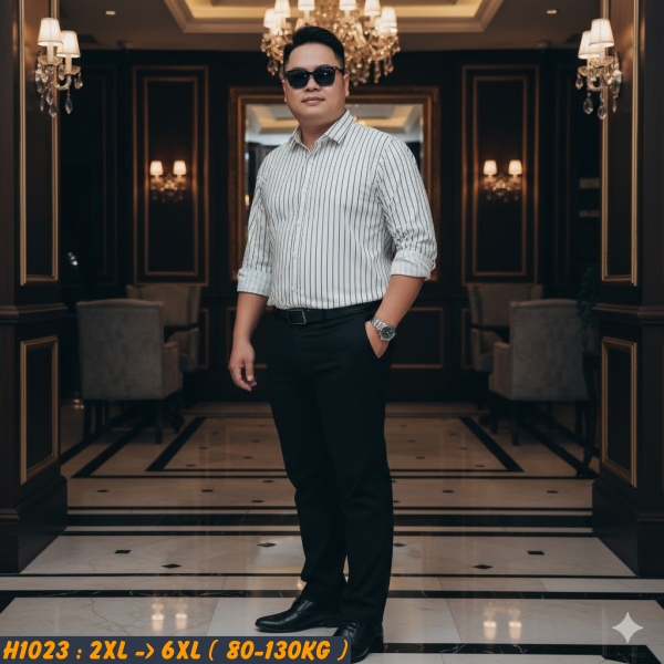 H1028-Ao-SMTD-cotton-gan-soc-doc-big-size-nam