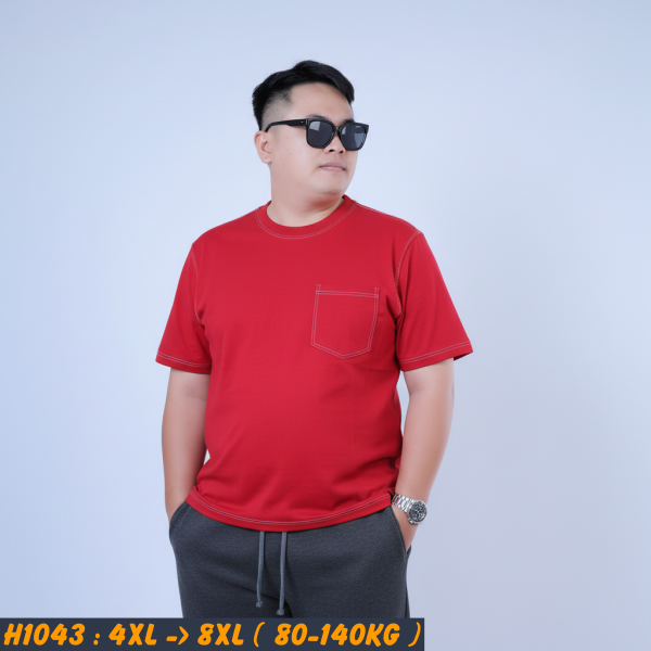 H1043-Ao-thun-cotton-vien-chi-trang-phoi-tui-big-size-nam