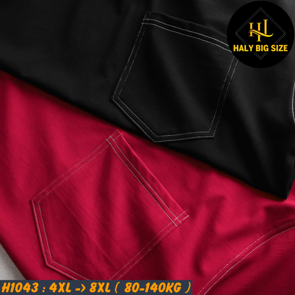 H1043-Ao-thun-cotton-vien-chi-trang-phoi-tui-big-size-nam