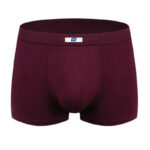 Quần lót nam big size