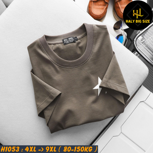 H1053-Ao-thun-cotton-mau-nau-cafe-in-ngoi-sao-2-mat-big-size-nam