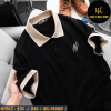 H1062-Ao-thun-polo-cotton-big-size-nam
