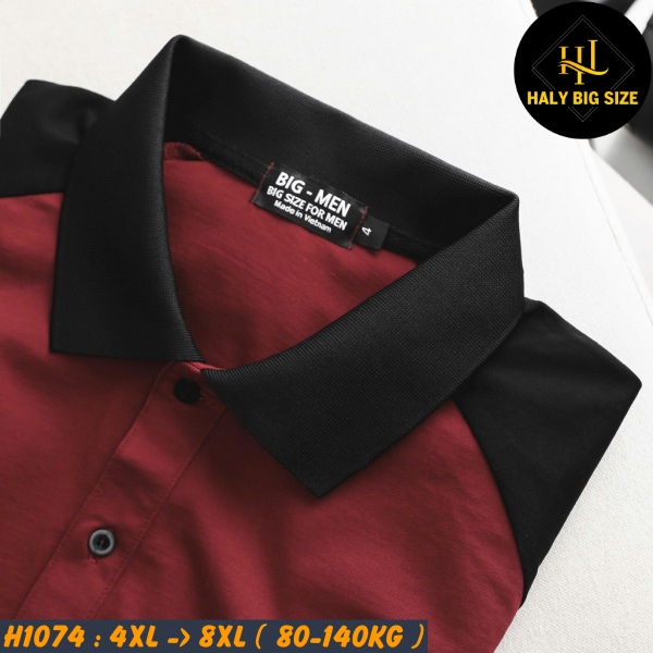 H1074-Ao-thun-cotton-raplan-big-size-nam