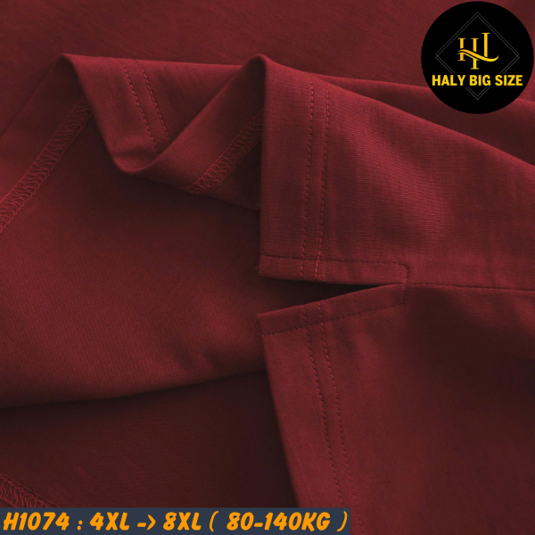 H1074-Ao-thun-cotton-raplan-big-size-nam