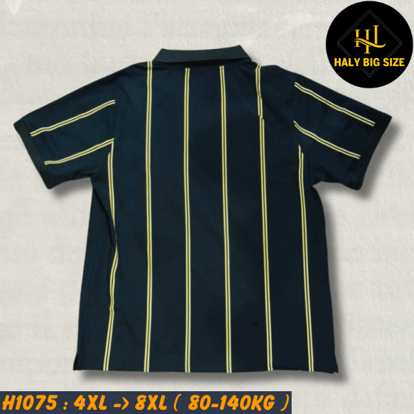 H1075-Ao-thun-polo-cotton-big-size-nam